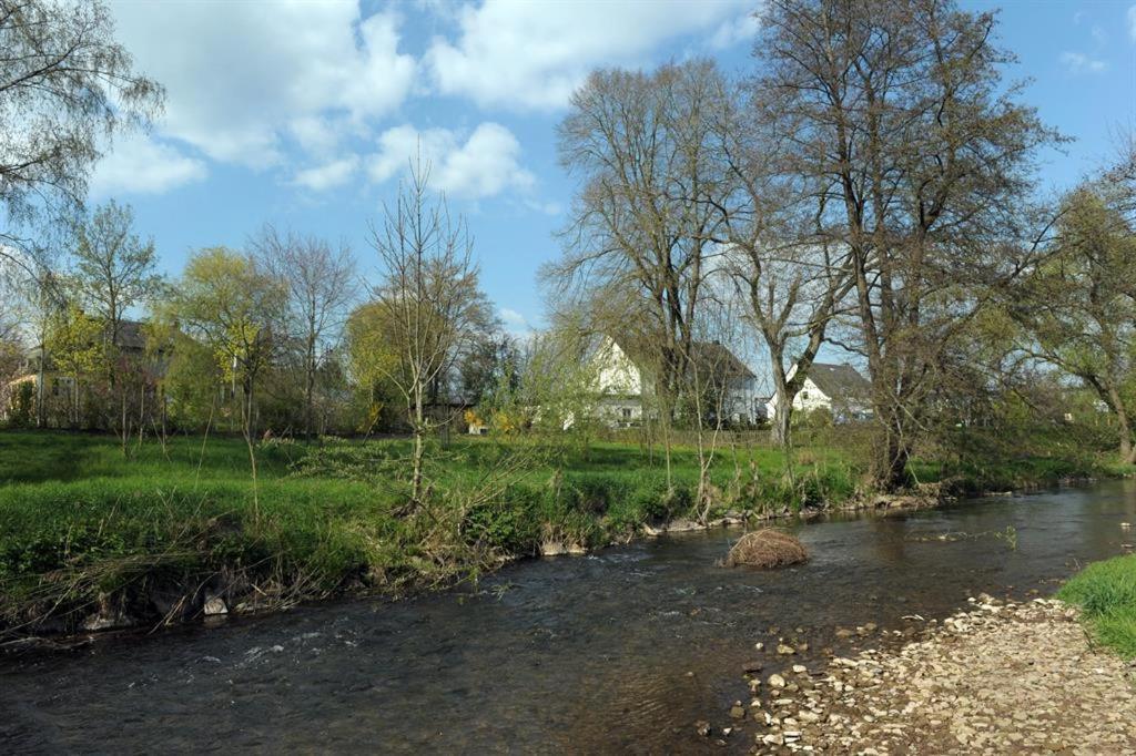 Ferienwohnung Pint Bickendorf Esterno foto